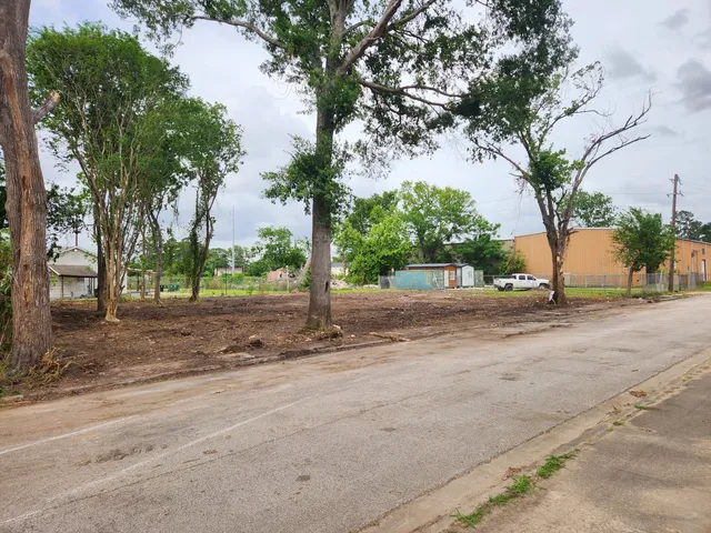 a view of a yard with plants and trees