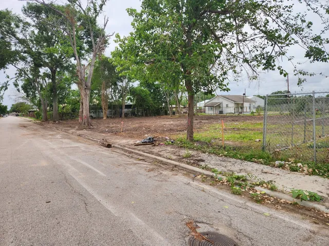 a view of a yard with plants and trees