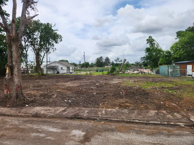 a view of a street with potted plants and large trees