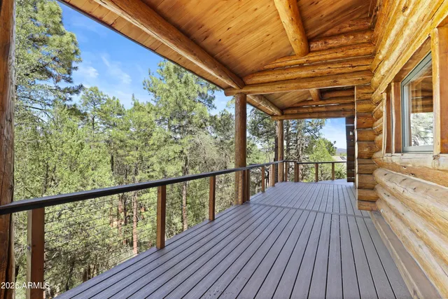 a view of outdoor space with wooden floor and barbeque oven