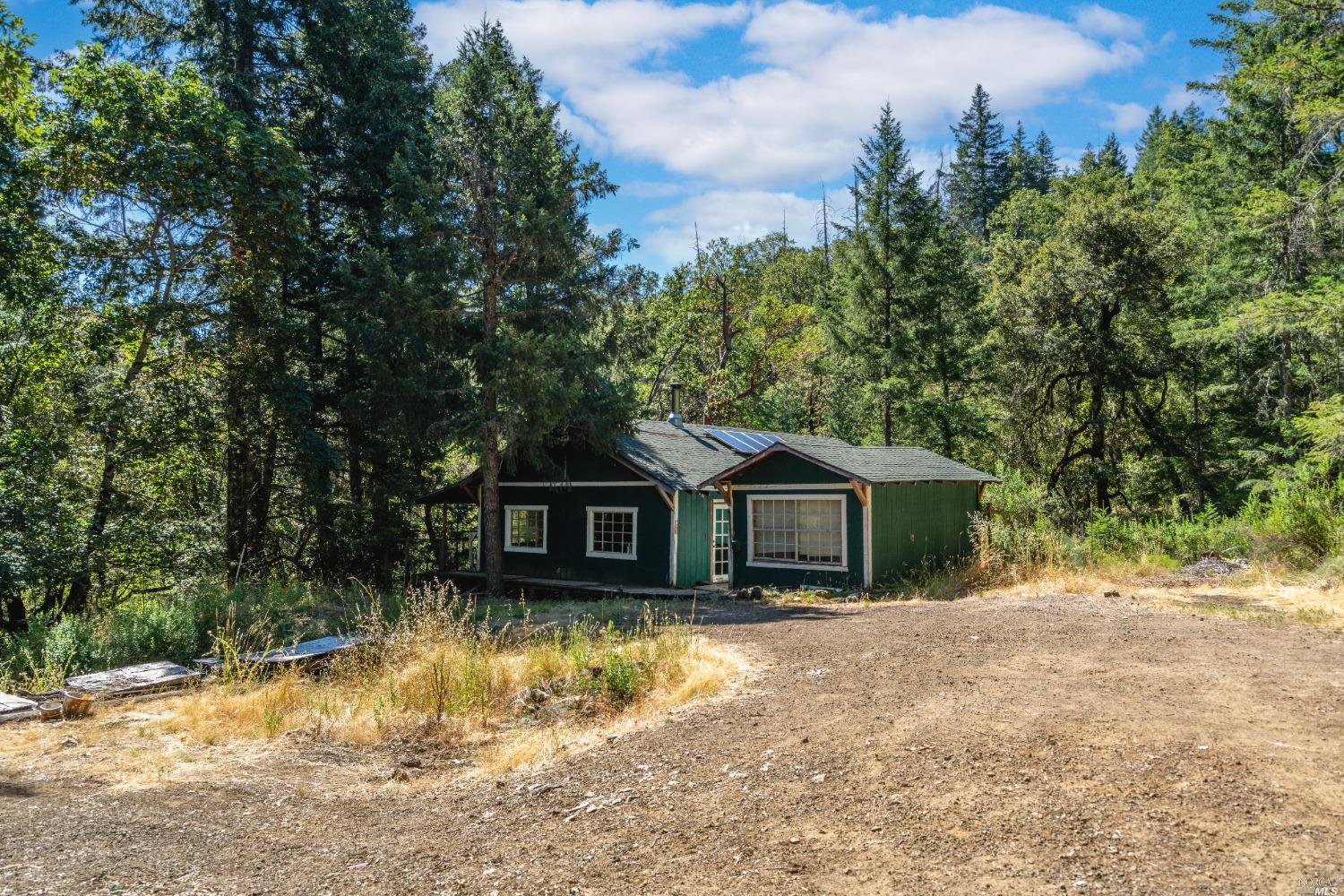 a front view of a house with a yard covered with trees