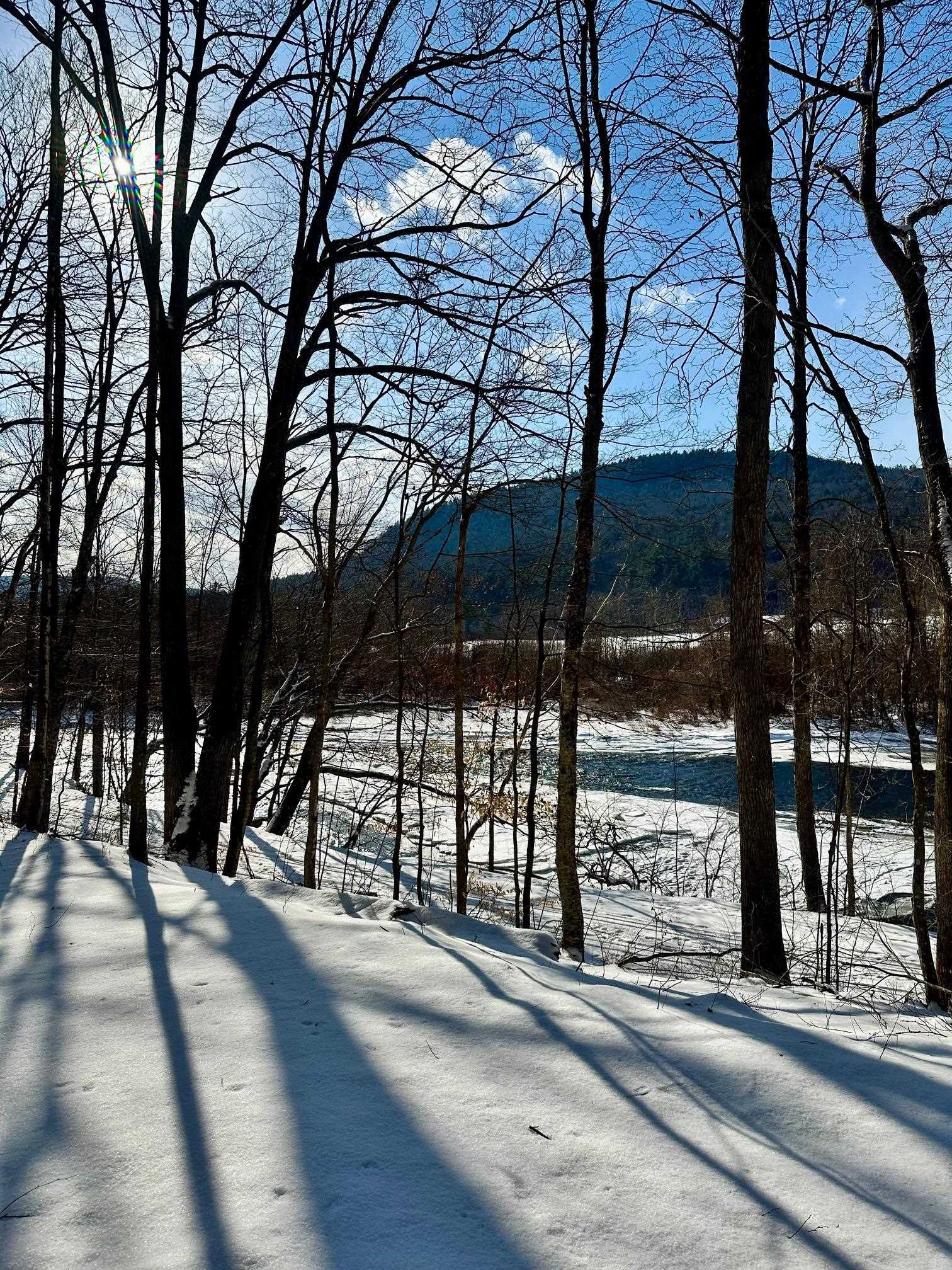 0 Ellen Ware Road Townshend, VT 05353 - Photo 1 of 13