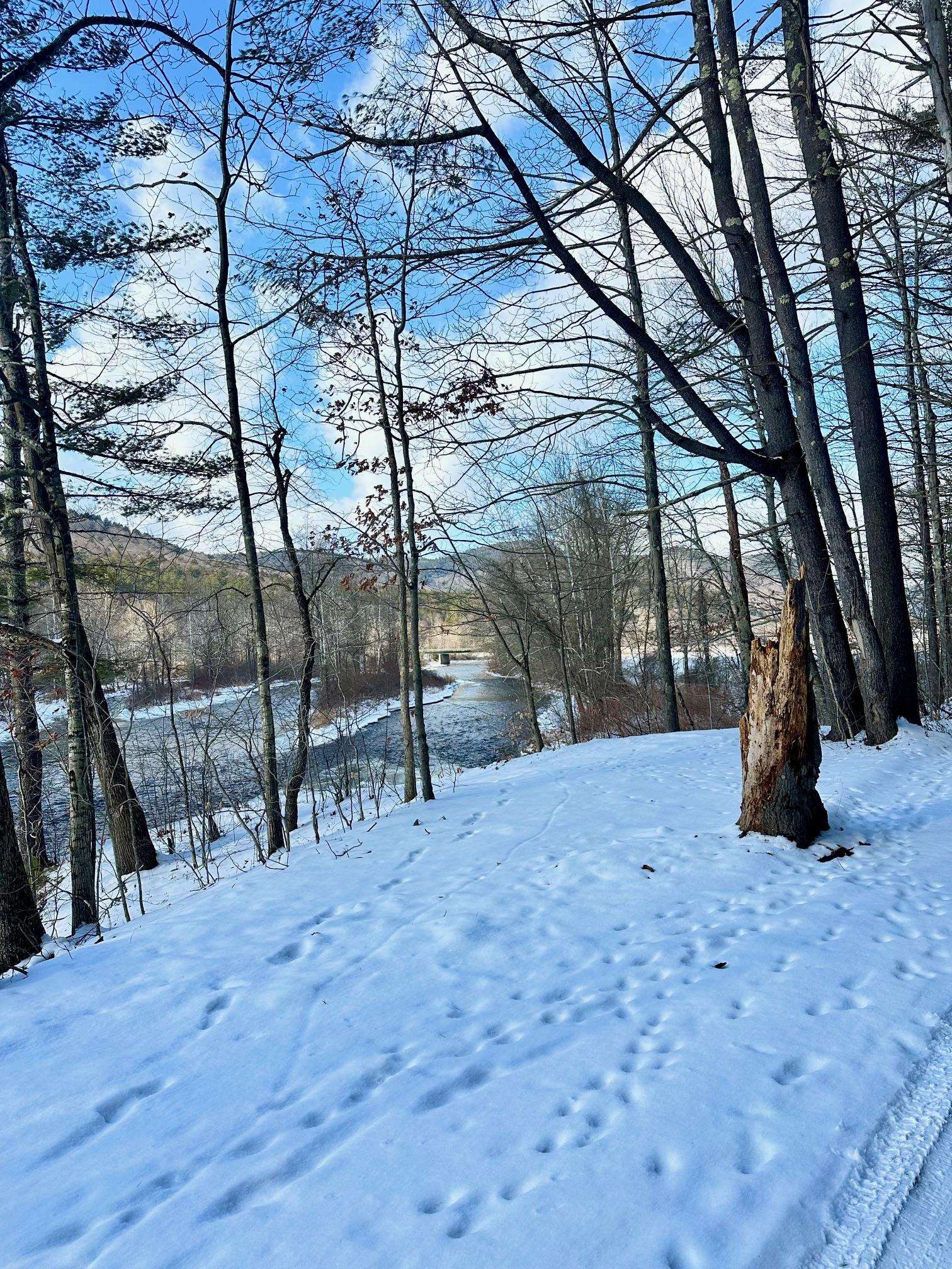 0 Ellen Ware Road Townshend, VT 05353 - Photo 11 of 13