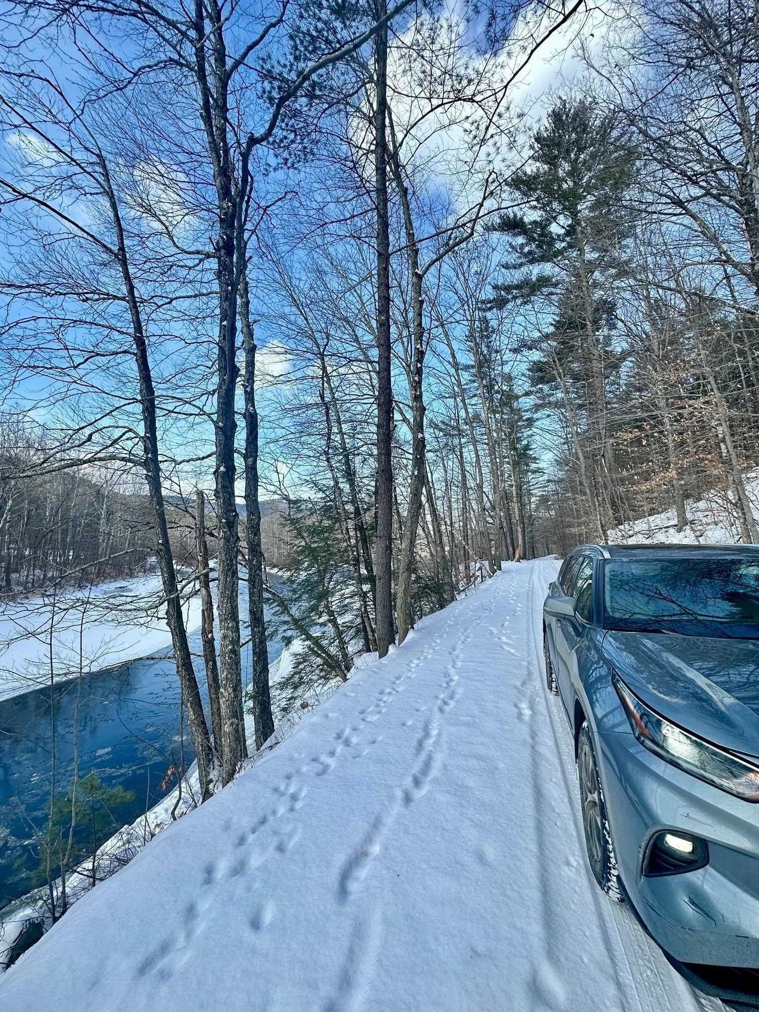 0 Ellen Ware Road Townshend, VT 05353 - Photo 12 of 13