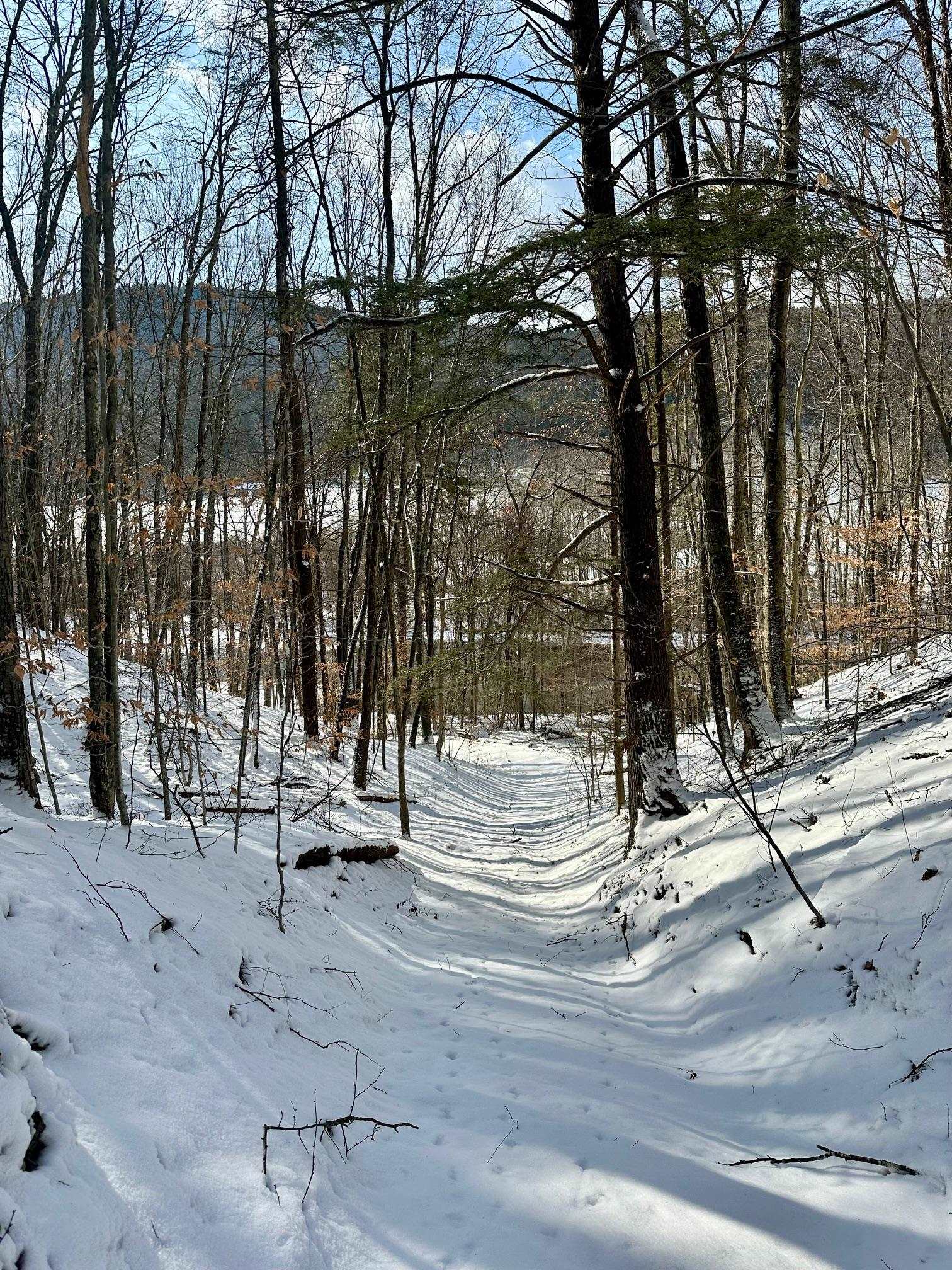 0 Ellen Ware Road Townshend, VT 05353 - Photo 5 of 13