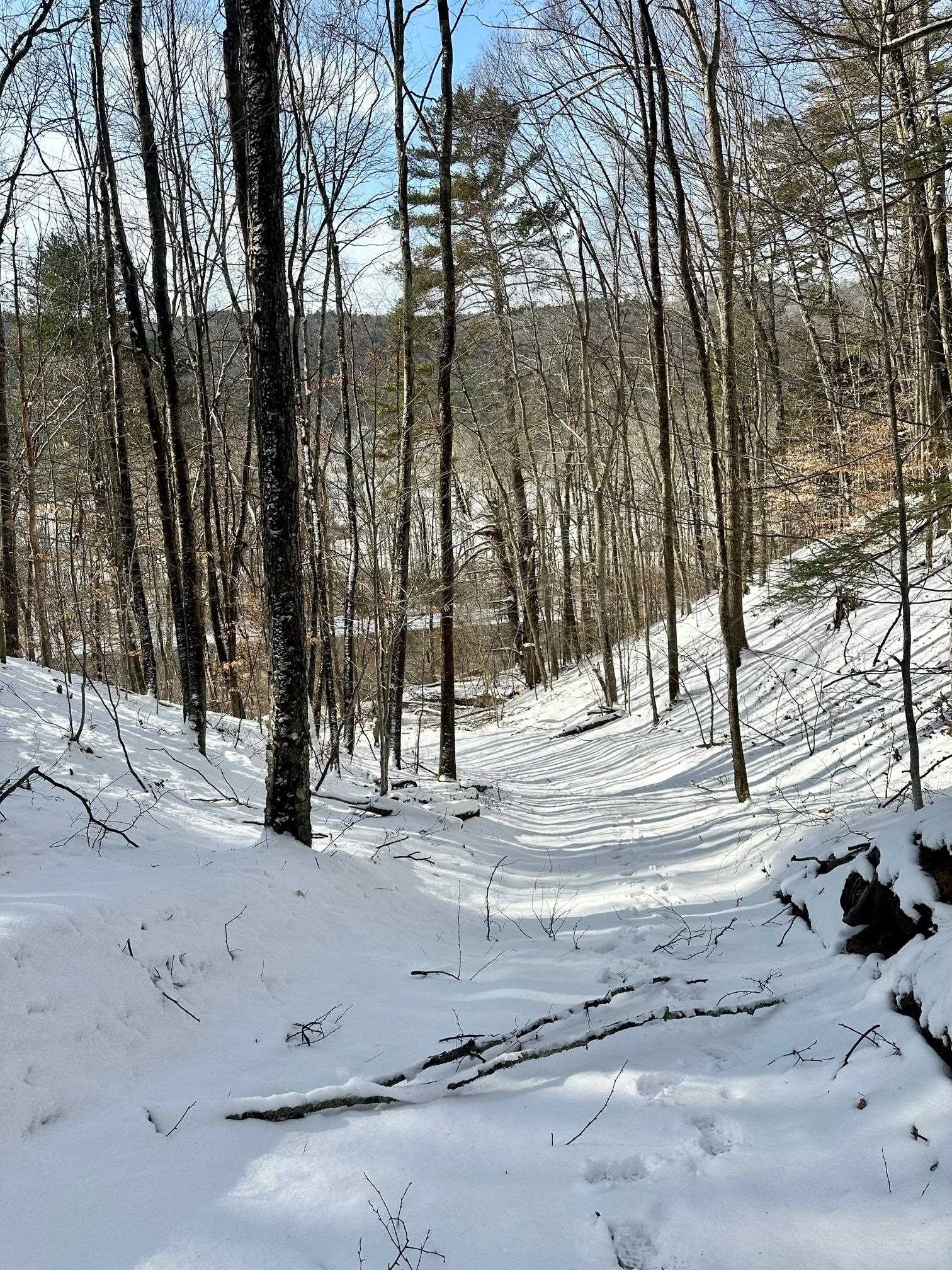 0 Ellen Ware Road Townshend, VT 05353 - Photo 6 of 13