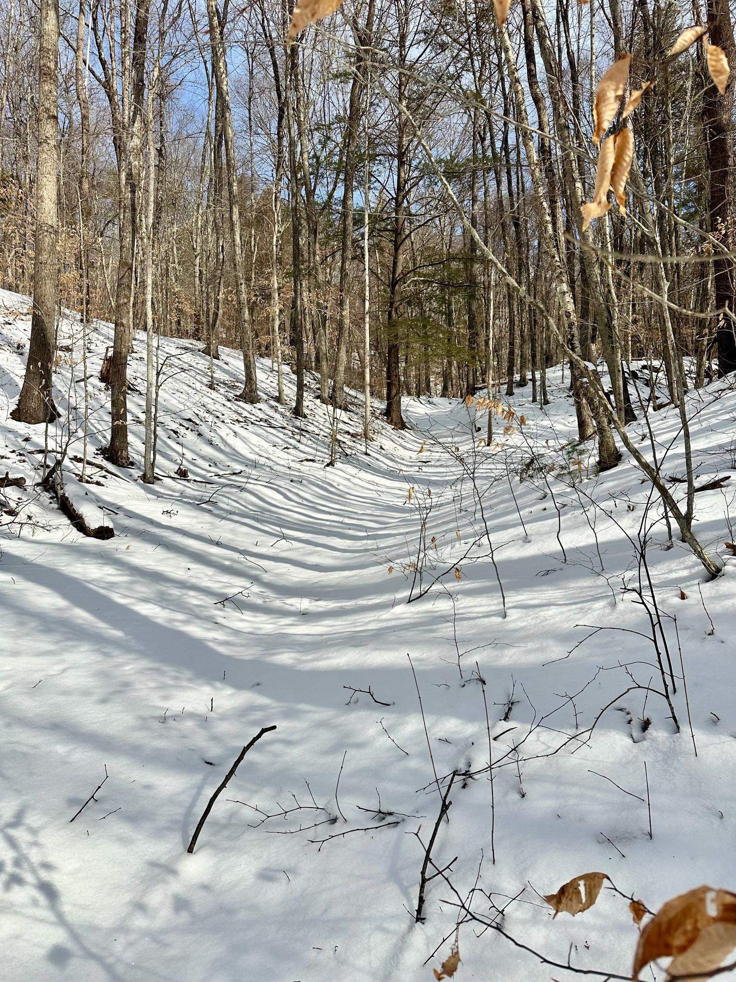 0 Ellen Ware Road Townshend, VT 05353 - Photo 7 of 13