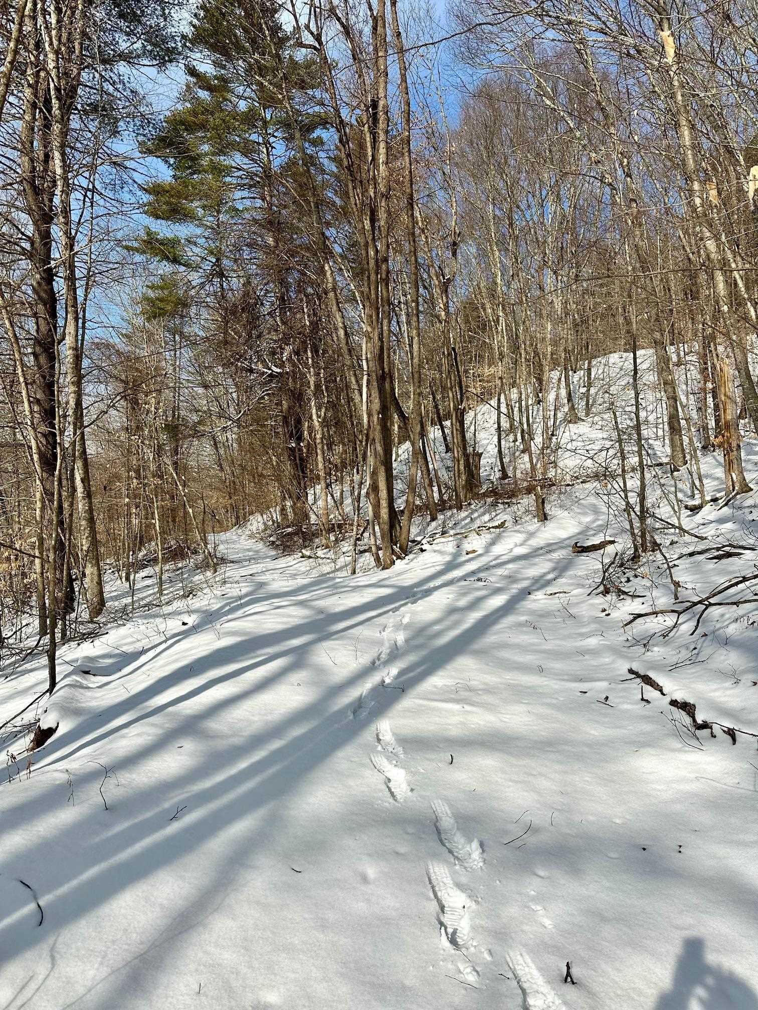 0 Ellen Ware Road Townshend, VT 05353 - Photo 8 of 13