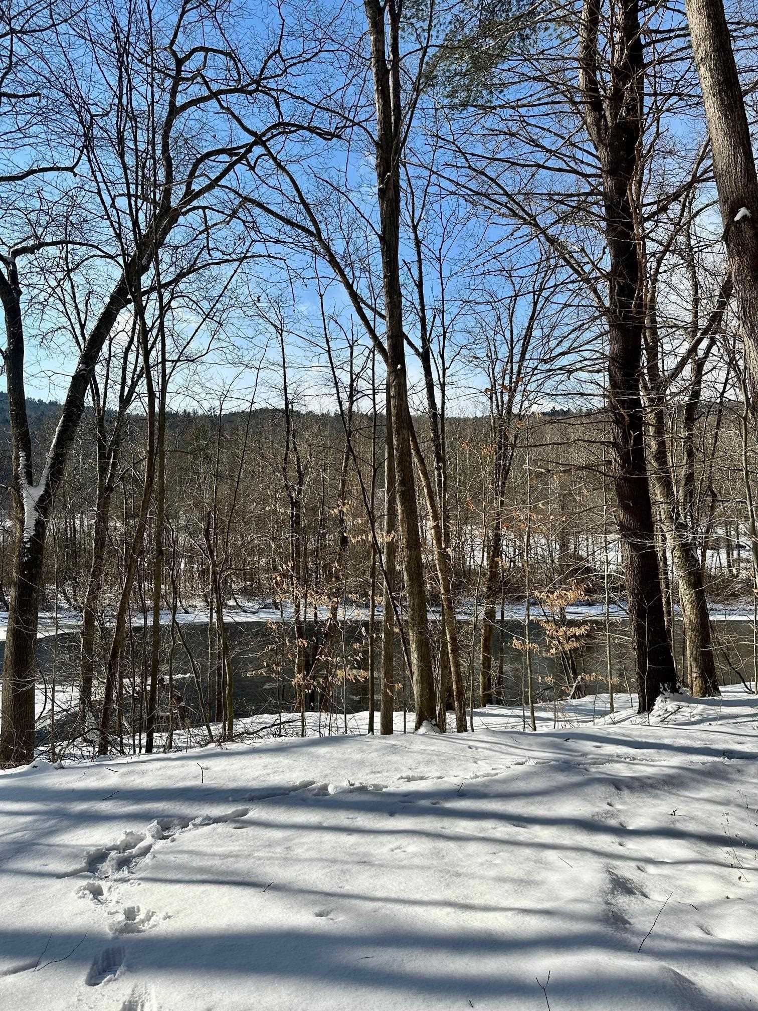 0 Ellen Ware Road Townshend, VT 05353 - Photo 10 of 13