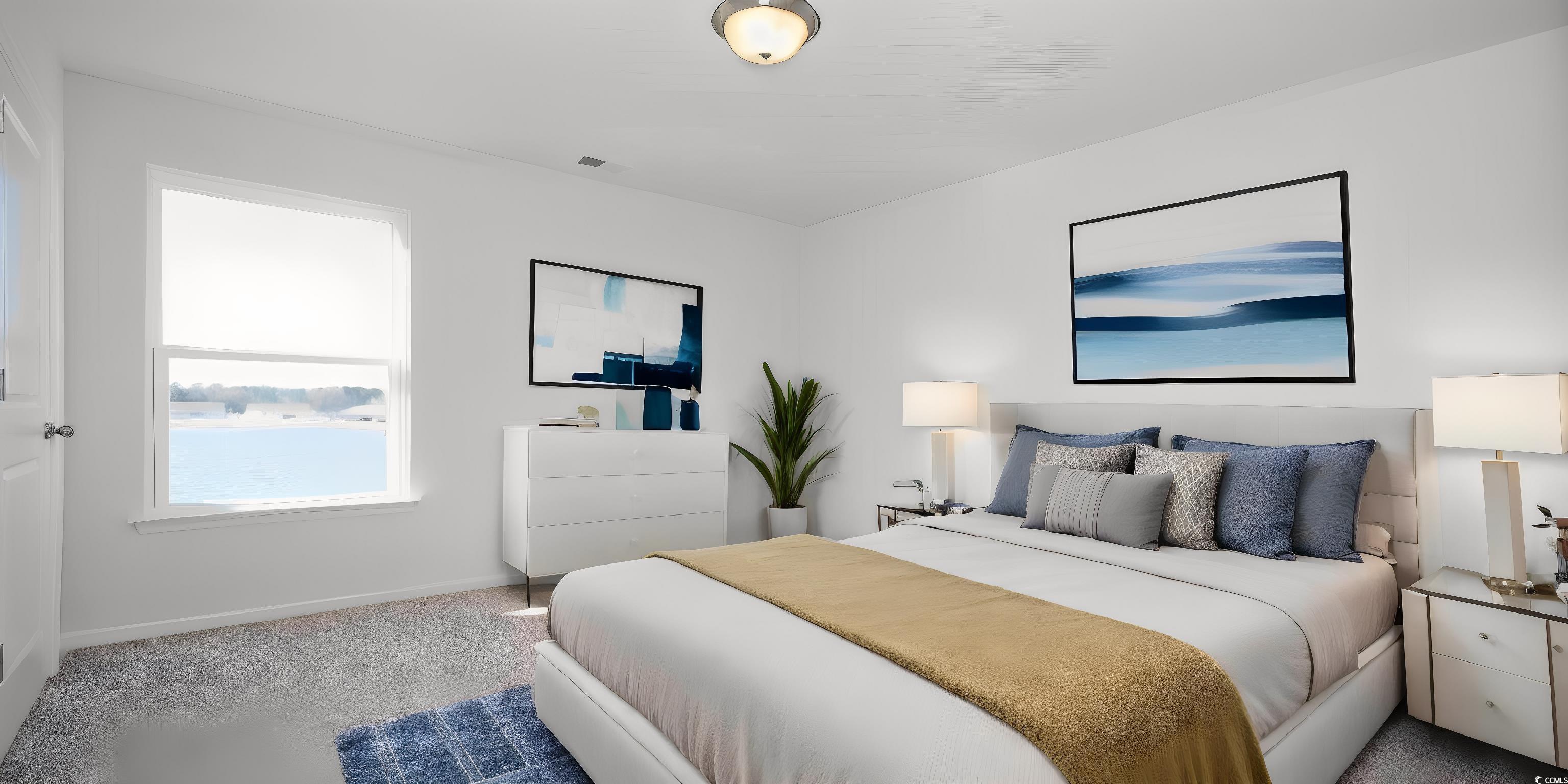 192 Seasons Trace Loop Longs, SC 29568 - Photo 13 of 17