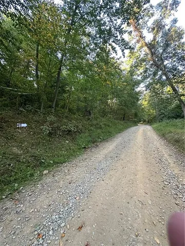 a view of outdoor space and yard