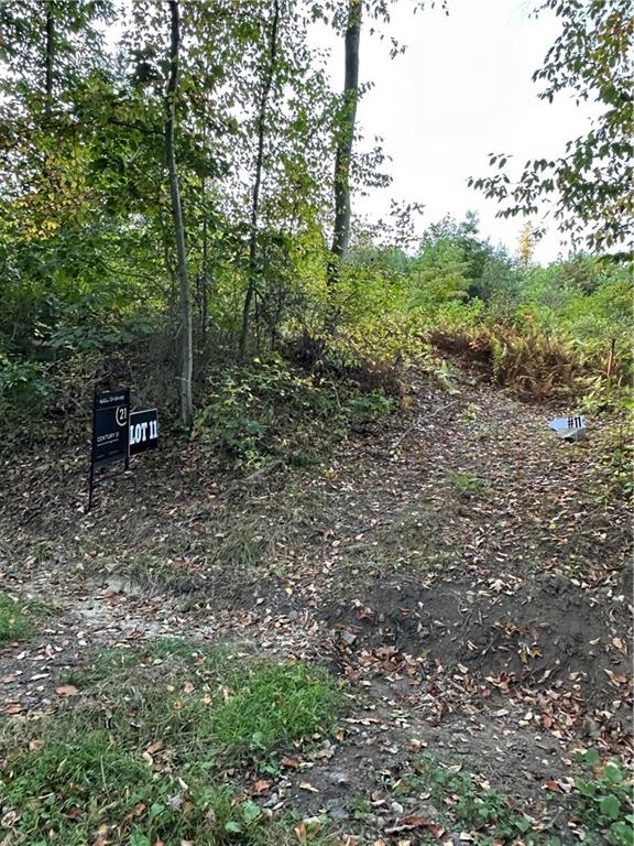 Lot 11 Sarah Furnace Road Rimersburg, PA 16248 - Photo 5 of 20 a view of outdoor space with trees all around