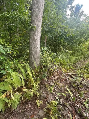 a view of a bench in a field