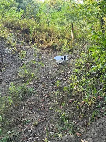 a view of a back yard