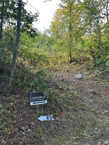 a view of a dry yard with large trees