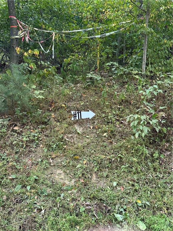 Lot 11 Sarah Furnace Road Rimersburg, PA 16248 - Photo 9 of 20 a view of a dry yard with large trees