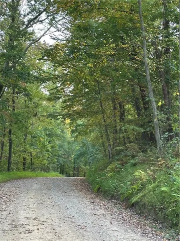 a view of a dry yard with trees in the background