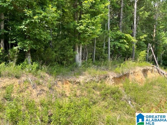 9320 Cedar Hill Road, Unit ONE Warrior, AL 35180 - Photo 3 of 7