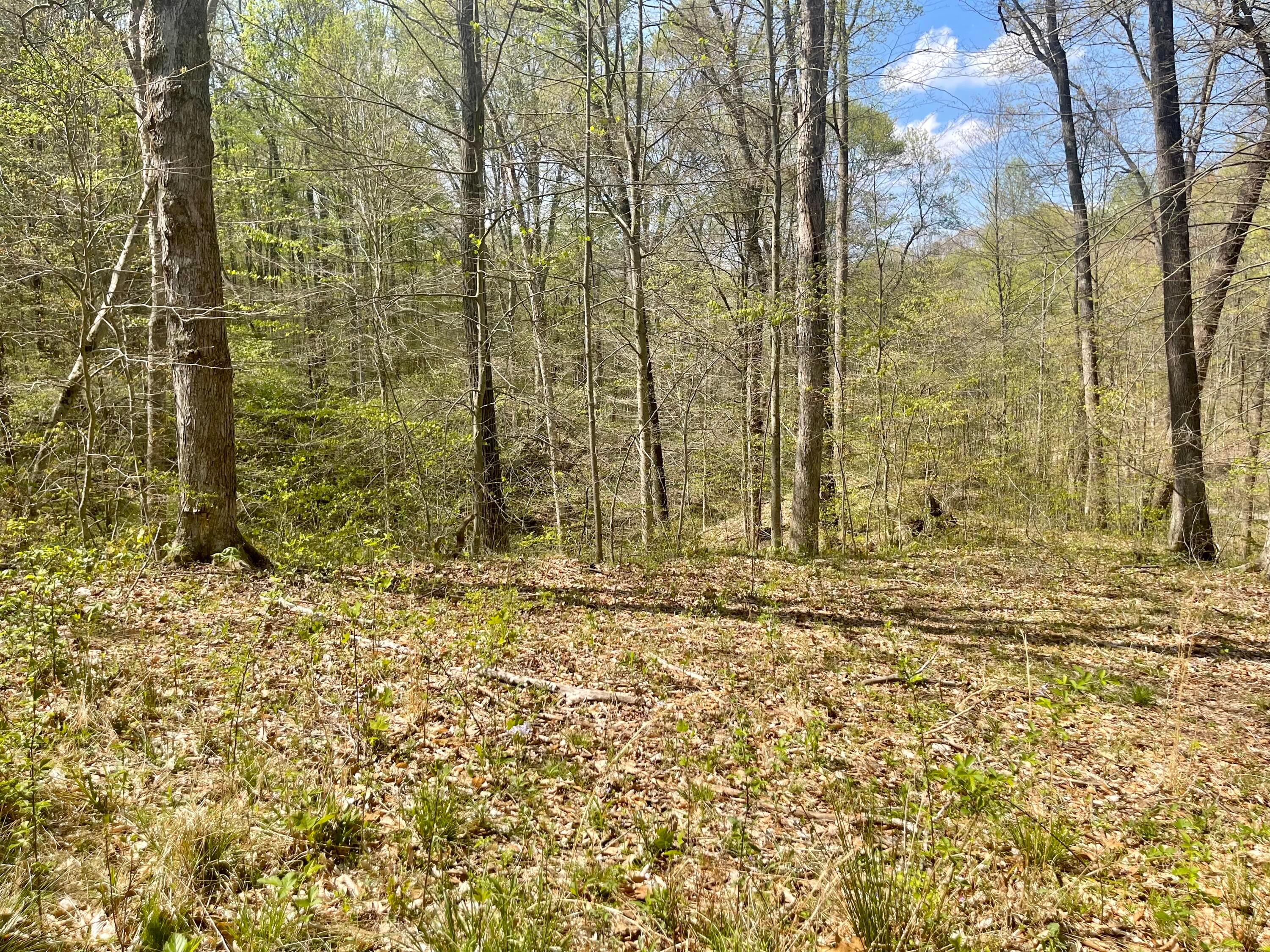 0 Dunlap Road Rockbridge, OH 43149 - Photo 11 of 18 0 Dunlap Road, Rockbridge, Ohio
