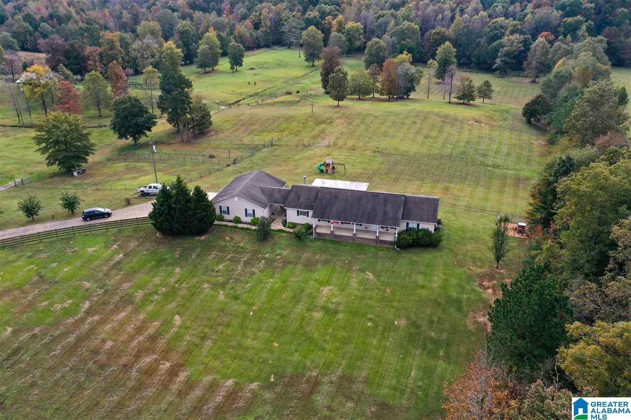 1614 Camp Branch Road West Blocton, AL 35184 - Photo 45 of 50