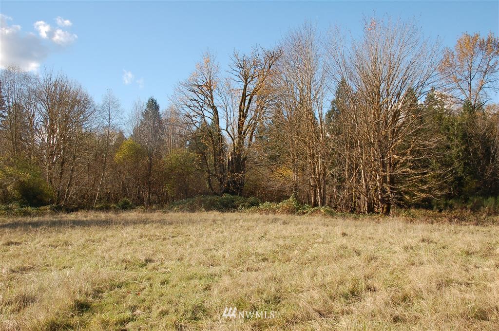 363 River Ranch Road Randle, WA 98377 - Photo 13 of 19 Gallery Image 13