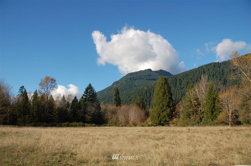363 River Ranch Road Randle, WA 98377 - Photo 14 of 19 Gallery Image 14