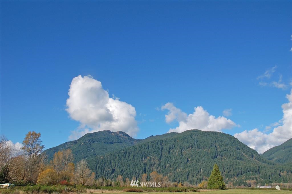 363 River Ranch Road Randle, WA 98377 - Photo 15 of 19 Gallery Image 15