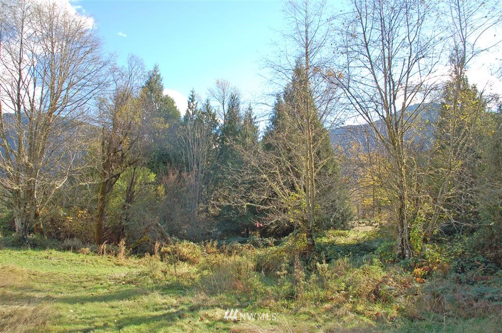 363 River Ranch Road Randle, WA 98377 - Photo 17 of 19 Gallery Image 17