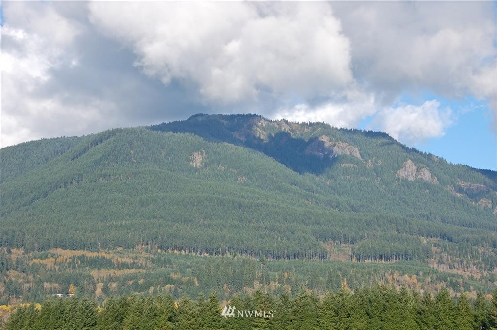 363 River Ranch Road Randle, WA 98377 - Photo 18 of 19 Gallery Image 18