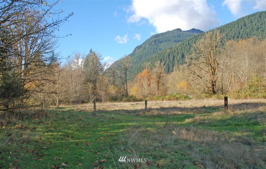 363 River Ranch Road Randle, WA 98377 - Photo 7 of 19 Gallery Image 7