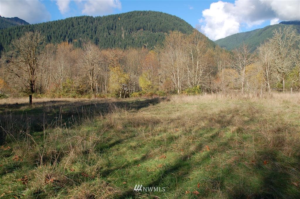 363 River Ranch Road Randle, WA 98377 - Photo 8 of 19 Gallery Image 8