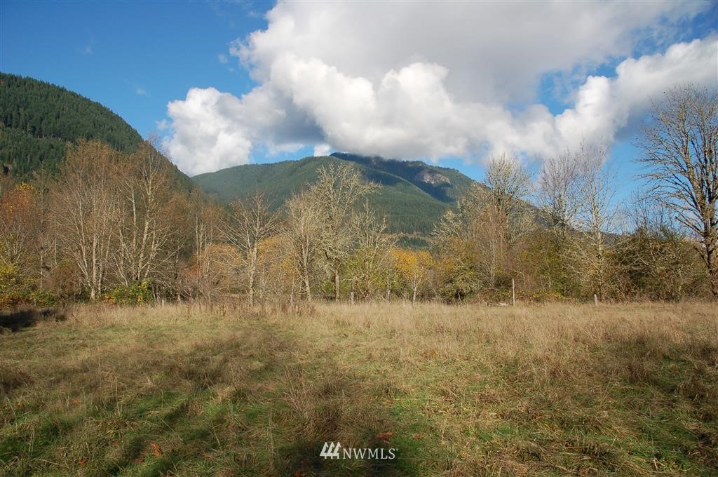 363 River Ranch Road Randle, WA 98377 - Photo 9 of 19 Gallery Image 9