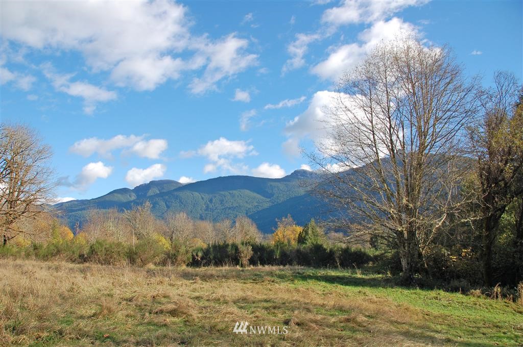 363 River Ranch Road Randle, WA 98377 - Photo 10 of 19 Gallery Image 10
