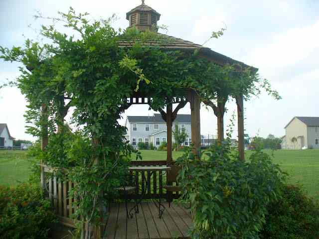 431 Macey Lake Road Metamora, IL 61548 - Photo 12 of 15
