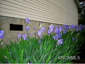 980 Jenkins Valley Road Alexander, NC 28701 - Photo 16 of 22 Gallery Image 16