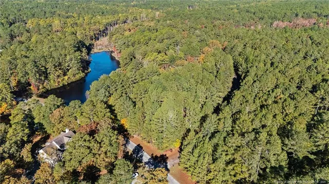 a view of a tree in a garden