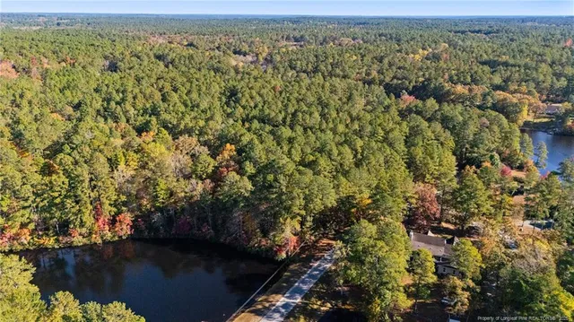 a view of a house with a lush green forest