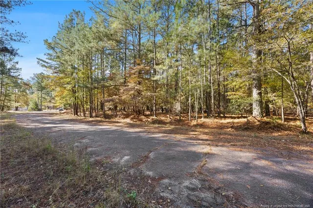 a view of lake with green space