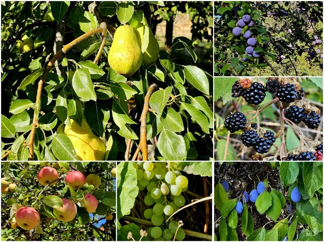 $1,490,000 | 134 Bear Paw Lane, Lenore, ID 83541