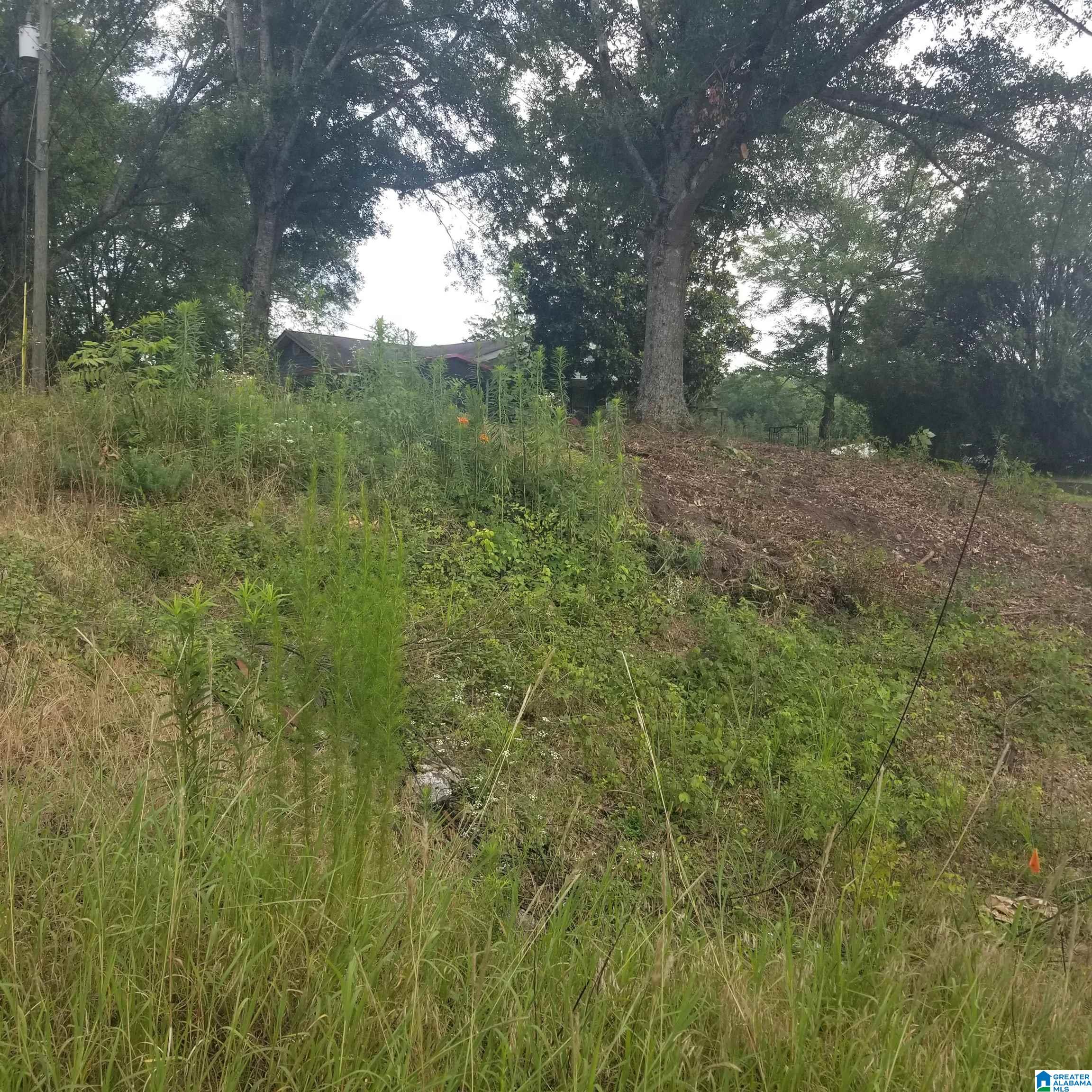 11284 Us Highway Riverside, AL 35135 - Photo 10 of 20
