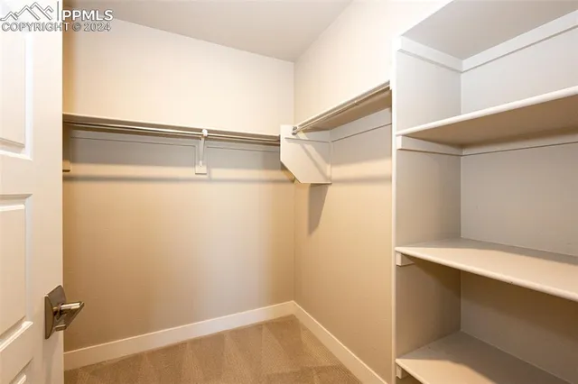 a bathroom with a shower and a sink