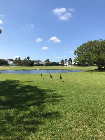 a view of a big yard with a large trees