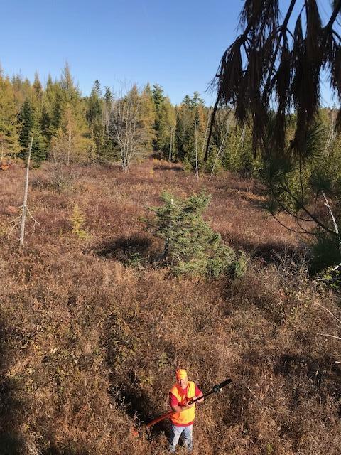 M12-l22-23 Merrill Road Stetson, ME 04488 - Photo 43 of 48 43