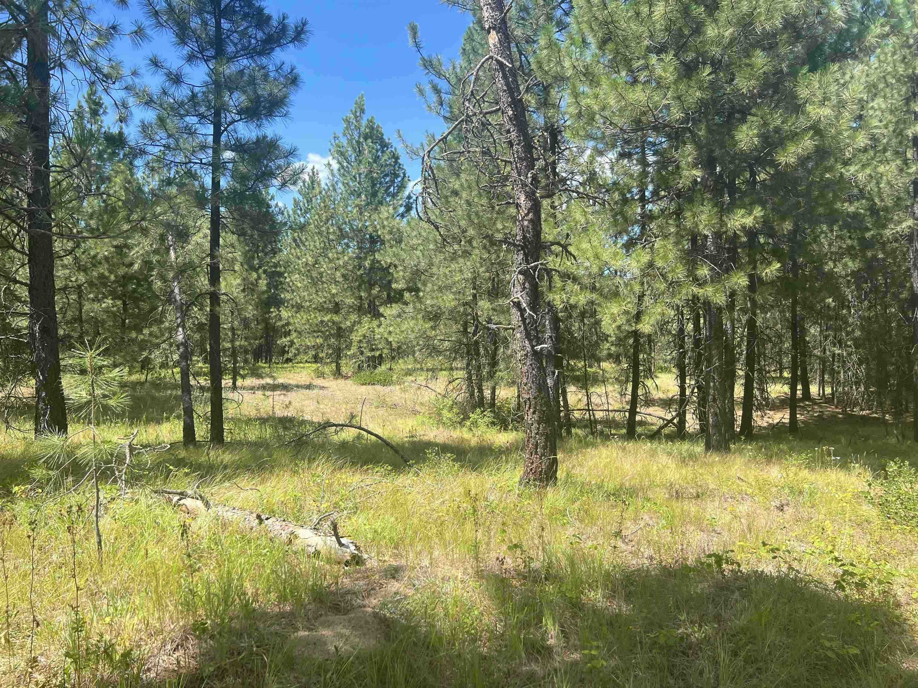 Nka West Findley Road Unit Lot 3