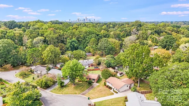 a view of a yard with plants and large trees