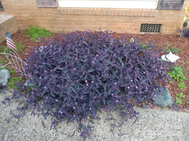 a view of ocean view with beach and ocean view