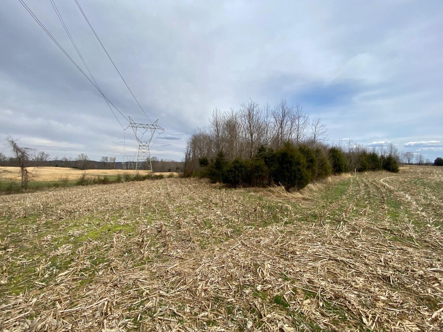 58.7-ac McCarty Road West Union, OH 45693 - Photo 5 of 17 Gallery Image 5