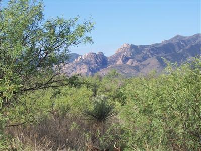 0 Richland Road Cochise, AZ 85606 - Photo 1 of 1 Gallery Image 1