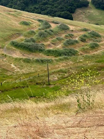 $699,999 | 363 Orchard Hill Road, San Juan Bautista, CA 95045