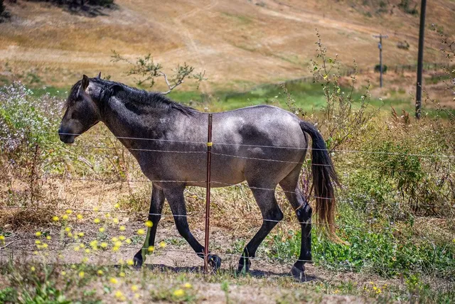$699,999 | 363 Orchard Hill Road, San Juan Bautista, CA 95045